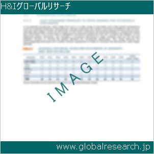 グローバルリサーチ調査レポートのイメージ